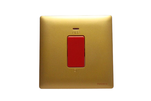 Windsor Innova Golden 1-Gang Double Pole Switch with Neon Indicator 45A - 91327DY