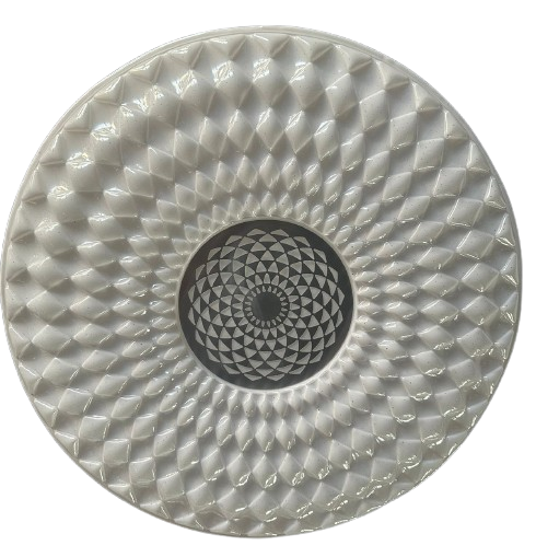 LED Ceiling Lamp