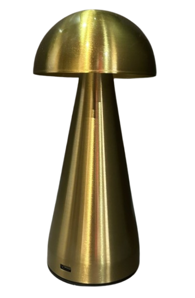 Rechargable Table lamp