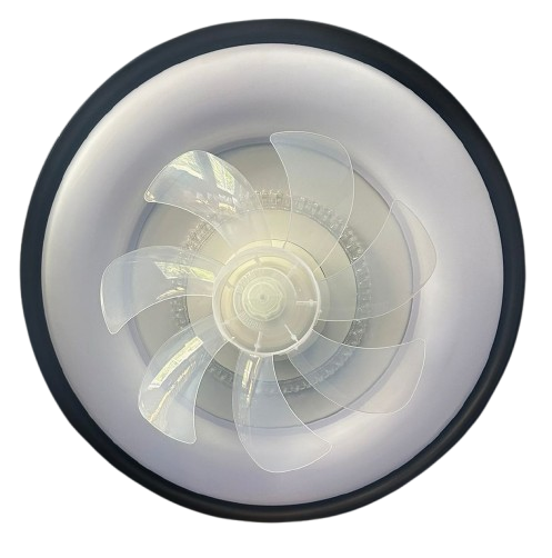 Ceiling light with fan orbit type