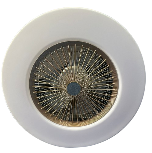 Ceiling light with fan