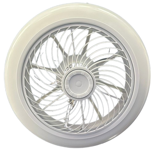Ceiling light with fan