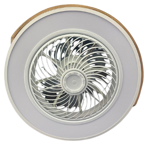 Ceiling light with fan