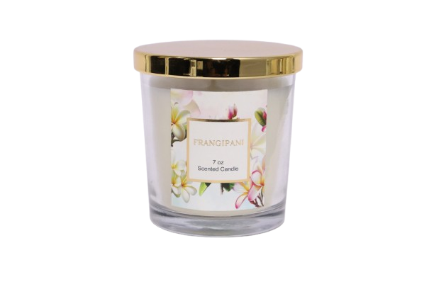 7 oz Frangipani Scented Candle in Glass Jar with Gold Lid
