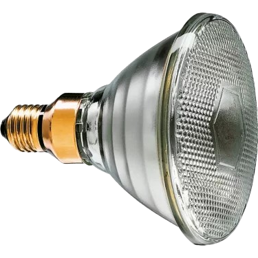 80W E27 PAR38 LAMP 240V WARM WHITE