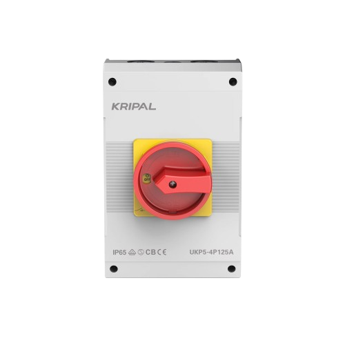 100A 4-Pole Isolator Switch - UKP5 Series