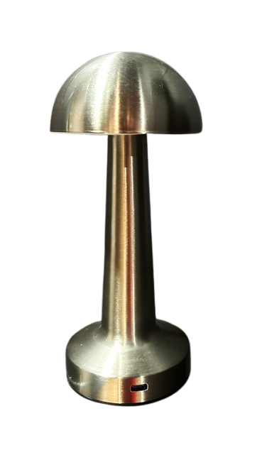 Rechargeable Table Lamp