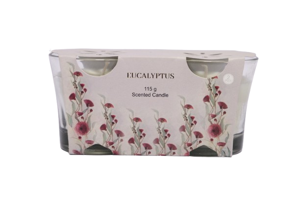 2PK EUCALYPTUS  SCENTED  CANDLE