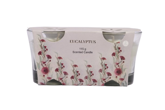 2PK EUCALYPTUS  SCENTED  CANDLE