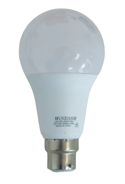 B22 LED Lamp Daylight