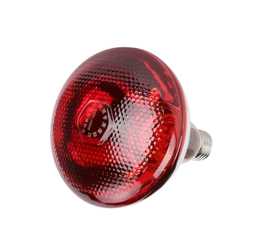 250W E27 RED INFRARED BULB 240V